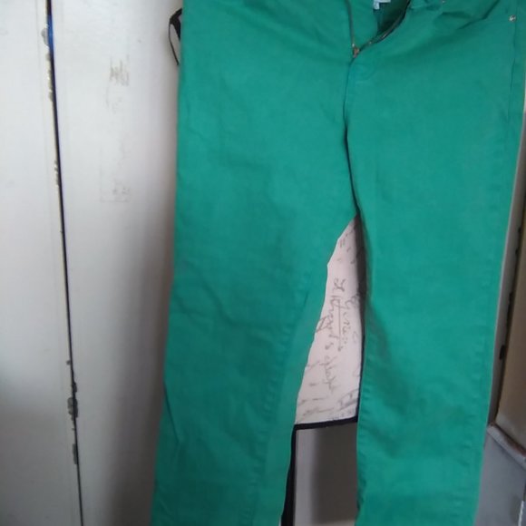 SIZE 6p DIANE GILMAN GREEN STRETCH JEAN FULL PANTS - Picture 2 of 2